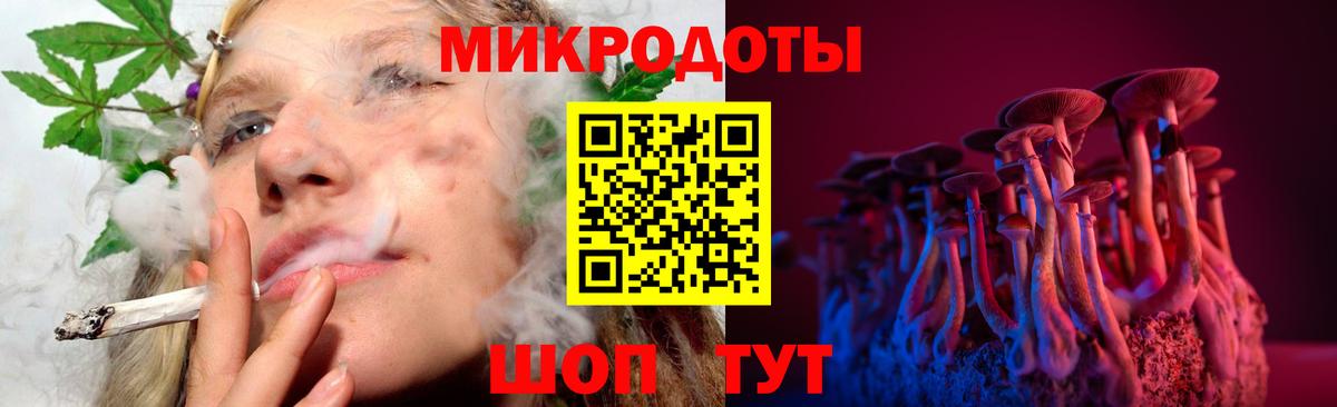 Галлюциногенные грибы Psilocybe  Псилоцибиновые грибы Psilocybine cubensis  Брянск  Вход с VPN 